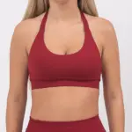 Ira burgundy sports bra